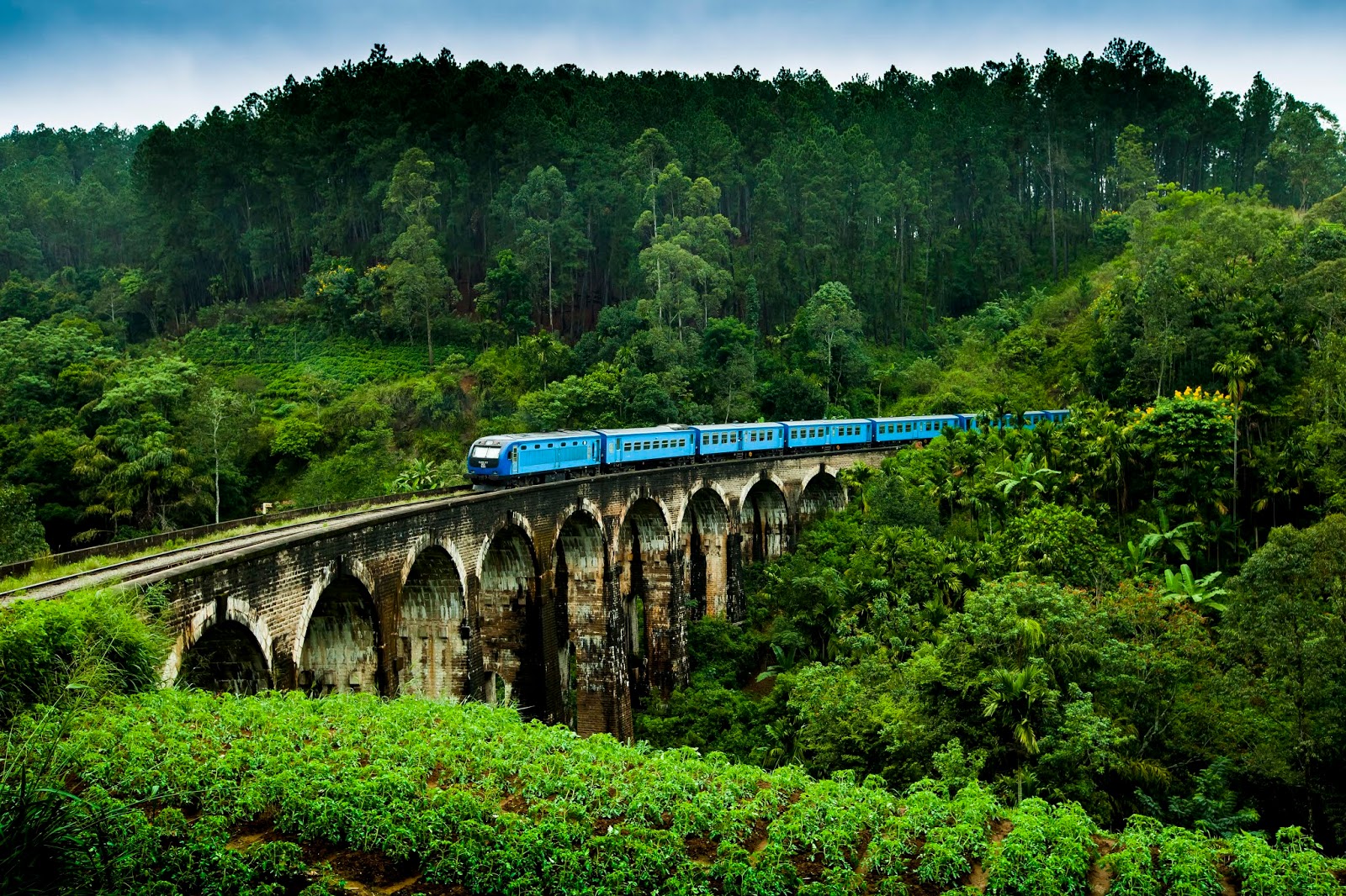عرض العائله 4 افراد بالغين سيريلانكا 8  ايام